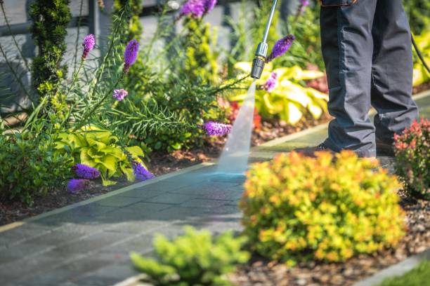 Best Roof Washing  in Eastlawn Gardens, PA